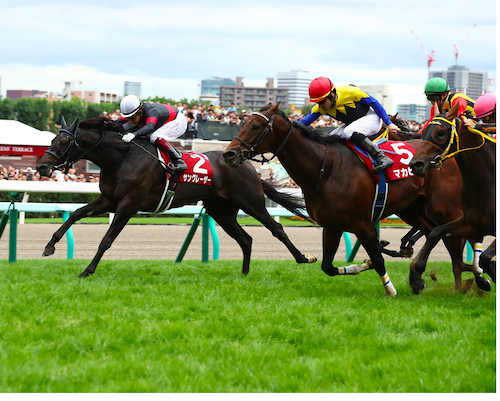 JRA夏競馬が開幕。札幌は7月23日から | ほっかいどうデータベース