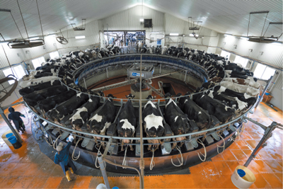 ドリームヒル ほっかいどうデータベース 財界さっぽろ